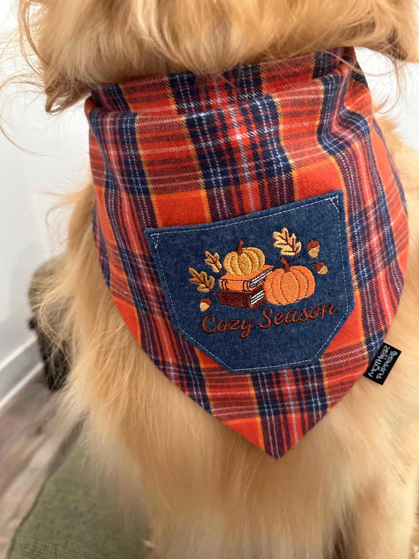 Cozy Season Pocket Bandana