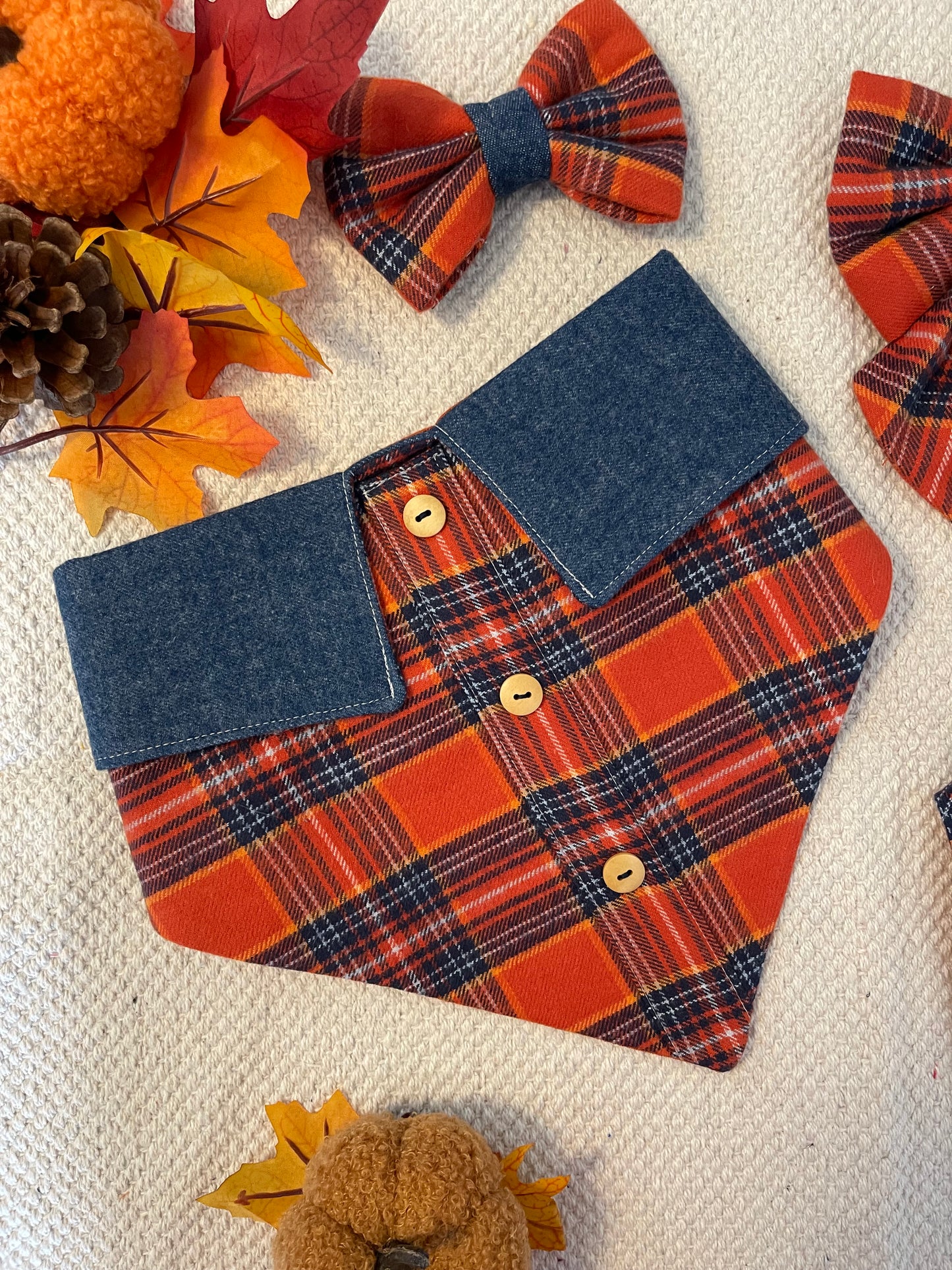 Pumpkin Patch Fancy-Dana