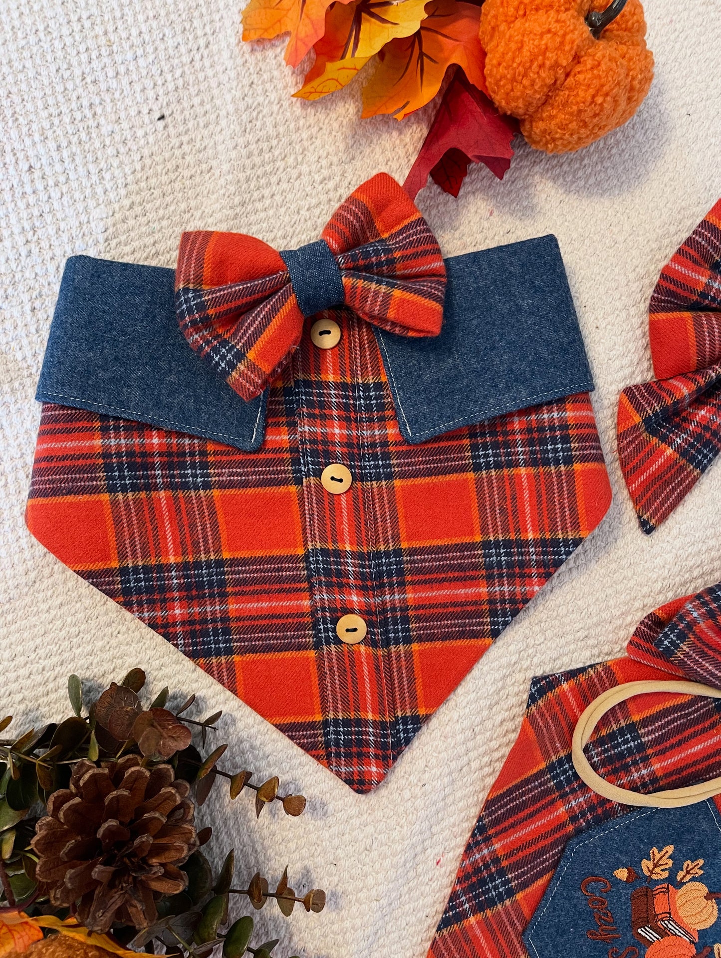 Pumpkin Patch Fancy-Dana