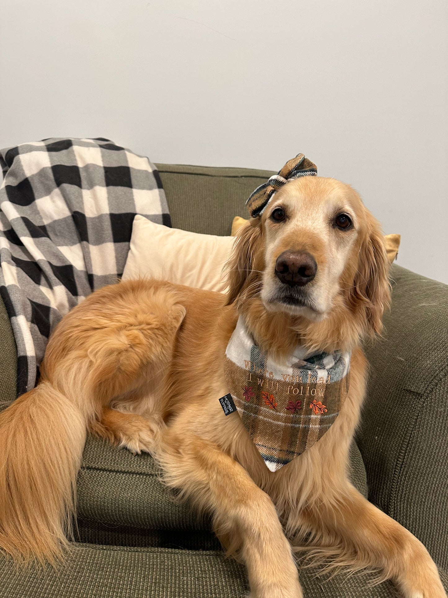 You Lead, I'll Follow Embroidered Gilmore Plaid Bandana