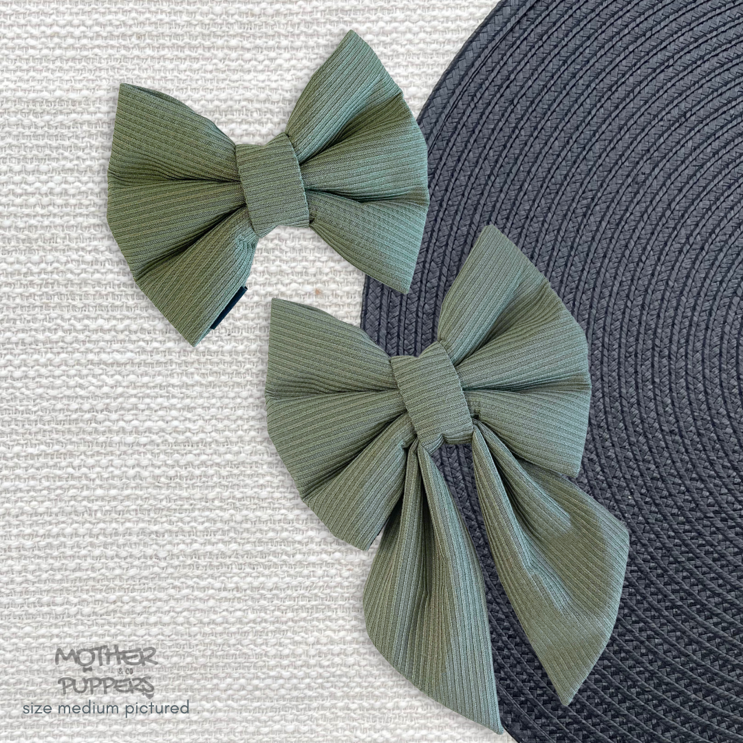 Sage Bow