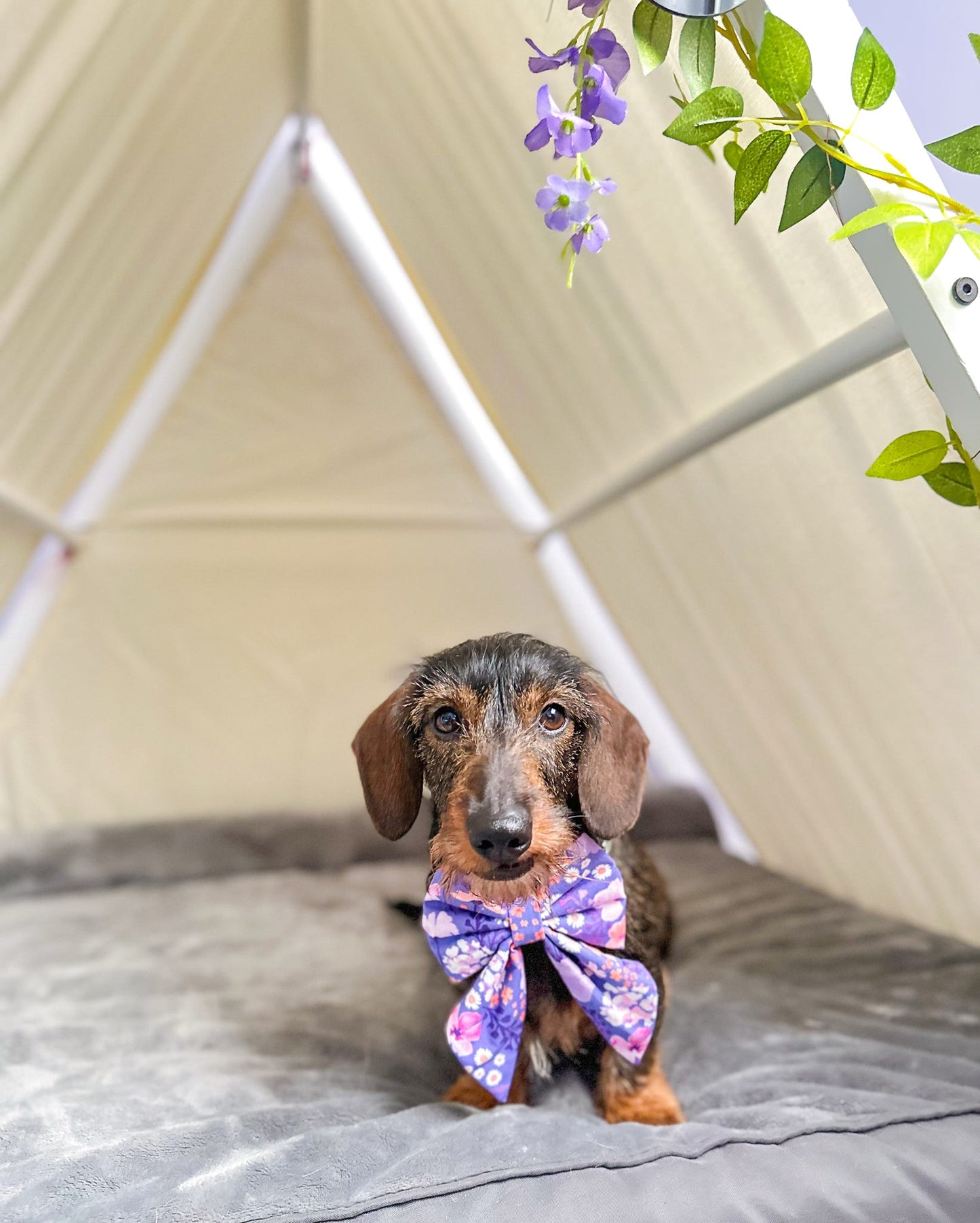 Flower Child Bow