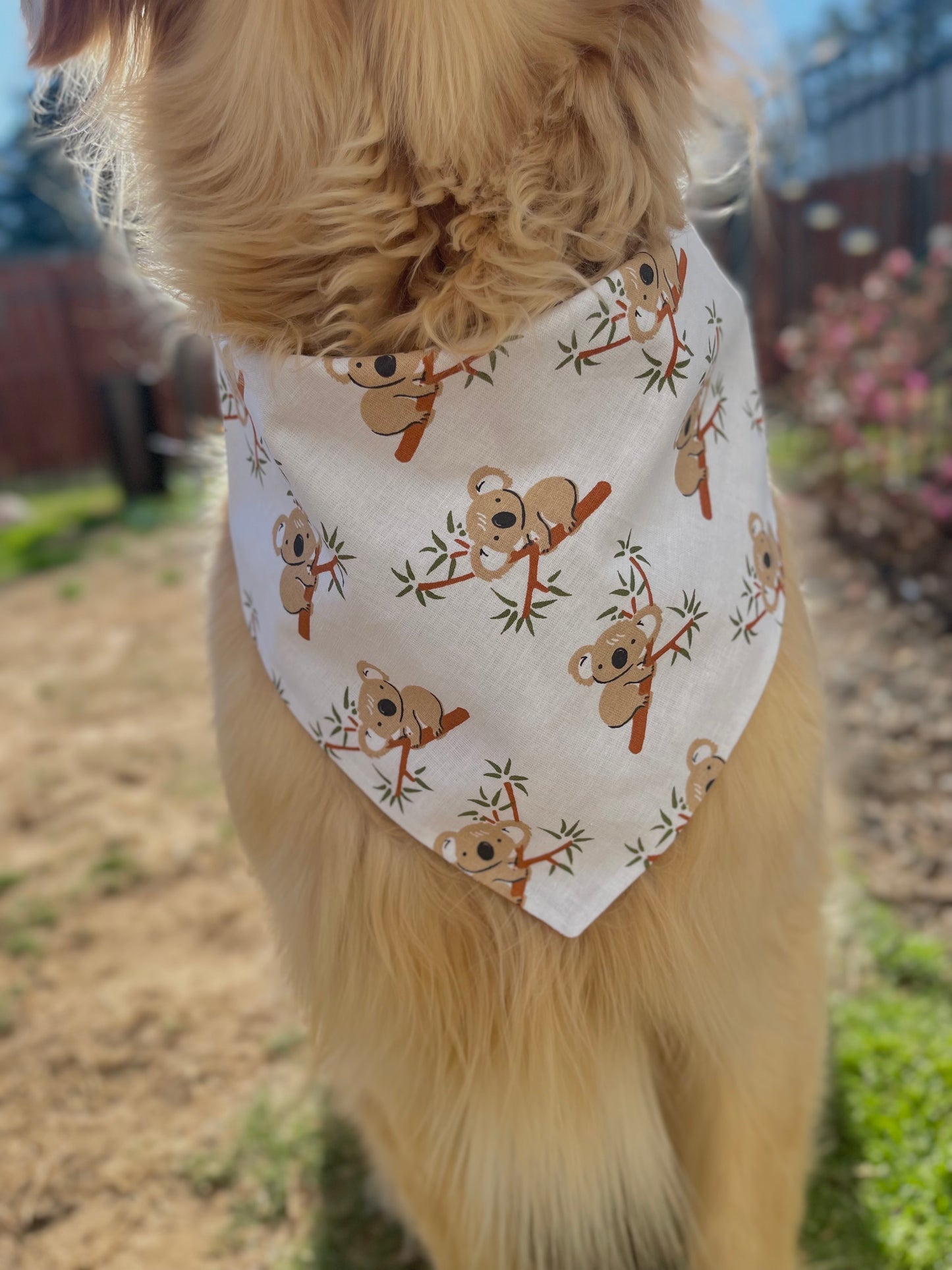 Boho Koalas Bandana
