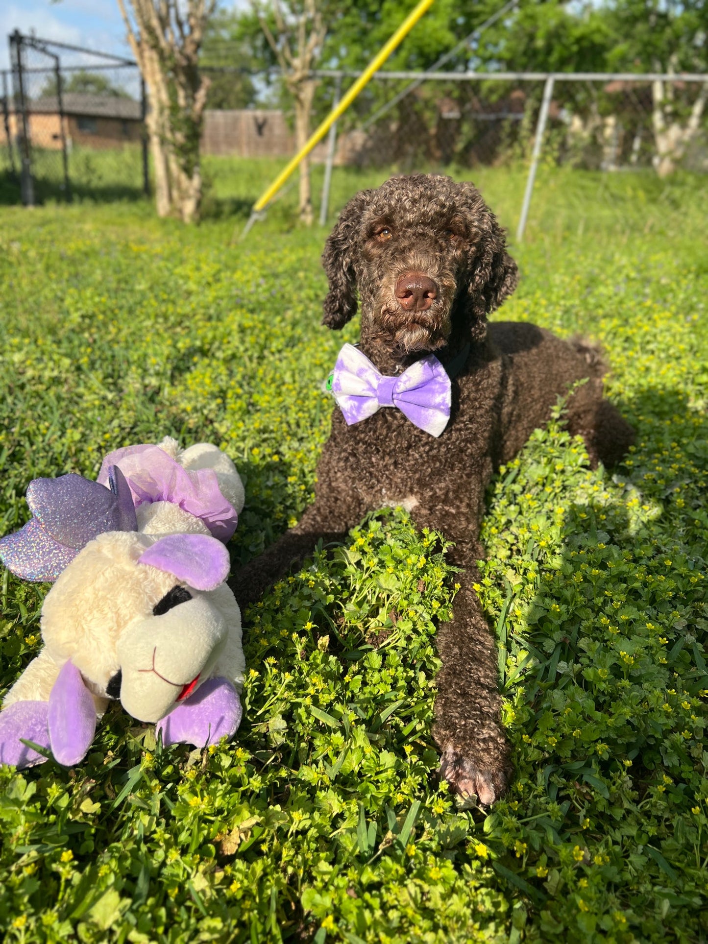 Purple Tie Dye Bow