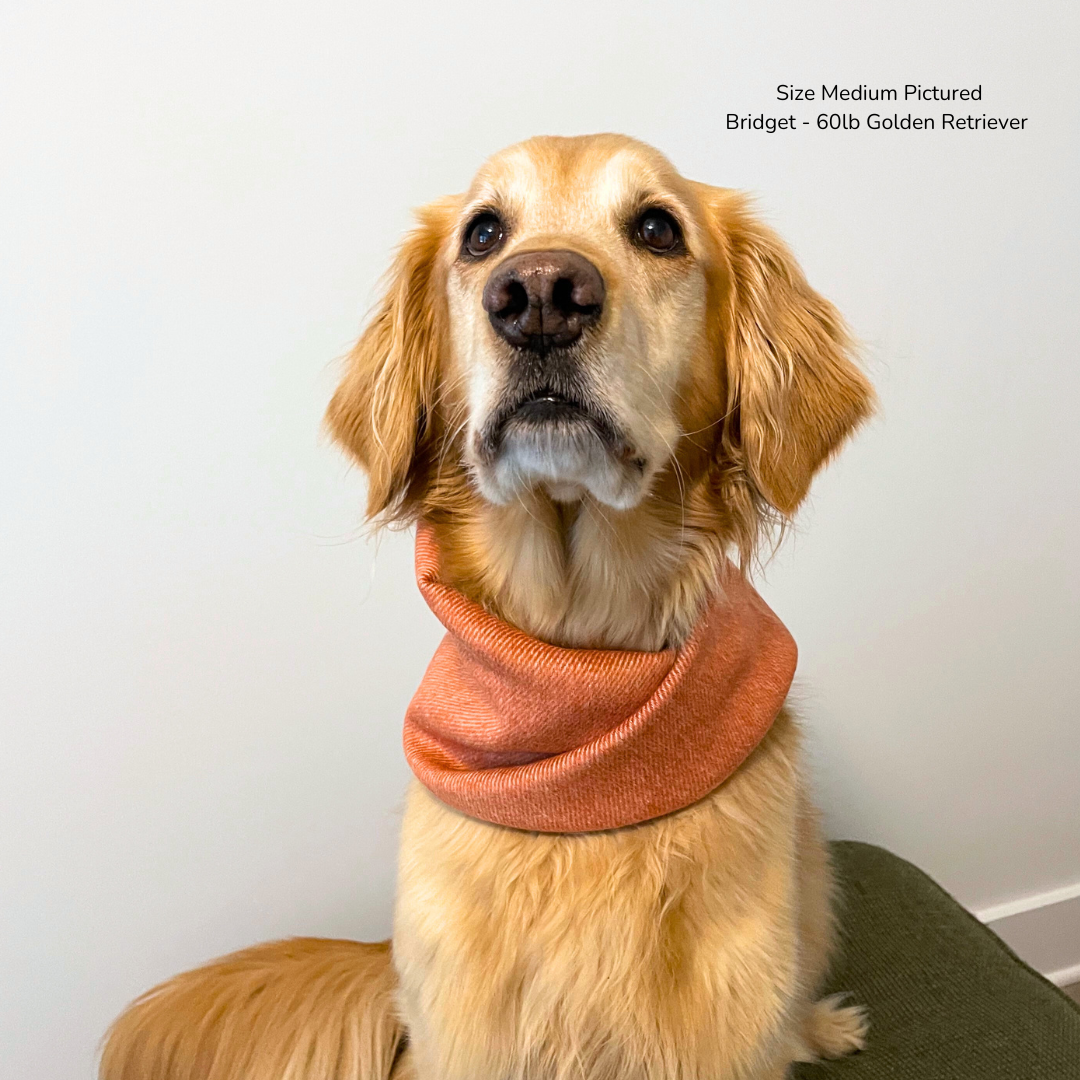 Cinnamon Scarf