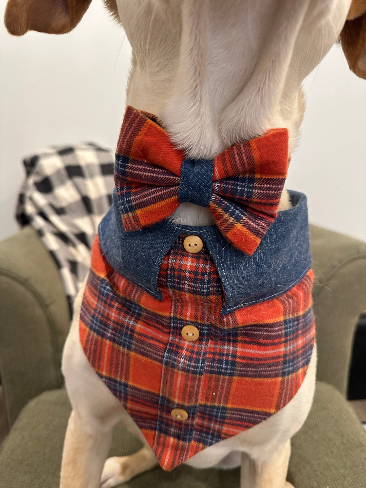 Pumpkin Patch Bowtie + Duchess Bow
