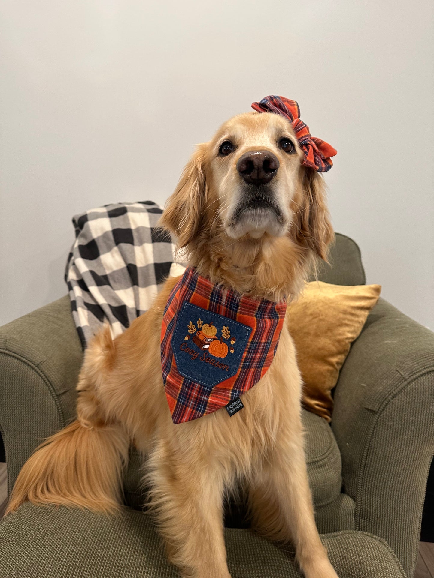 Cozy Season Pocket Bandana