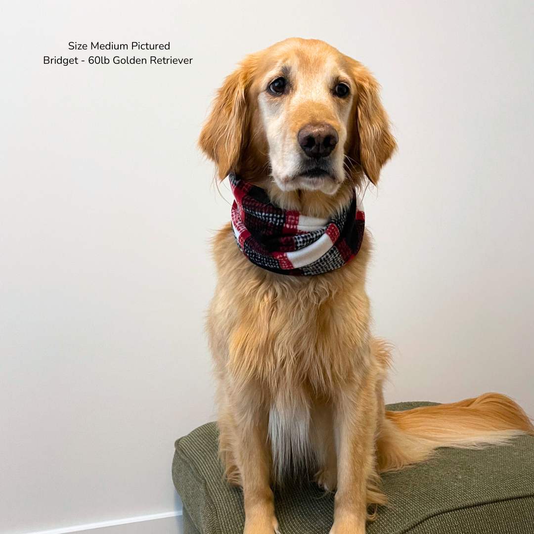 Red Plaid Scarf