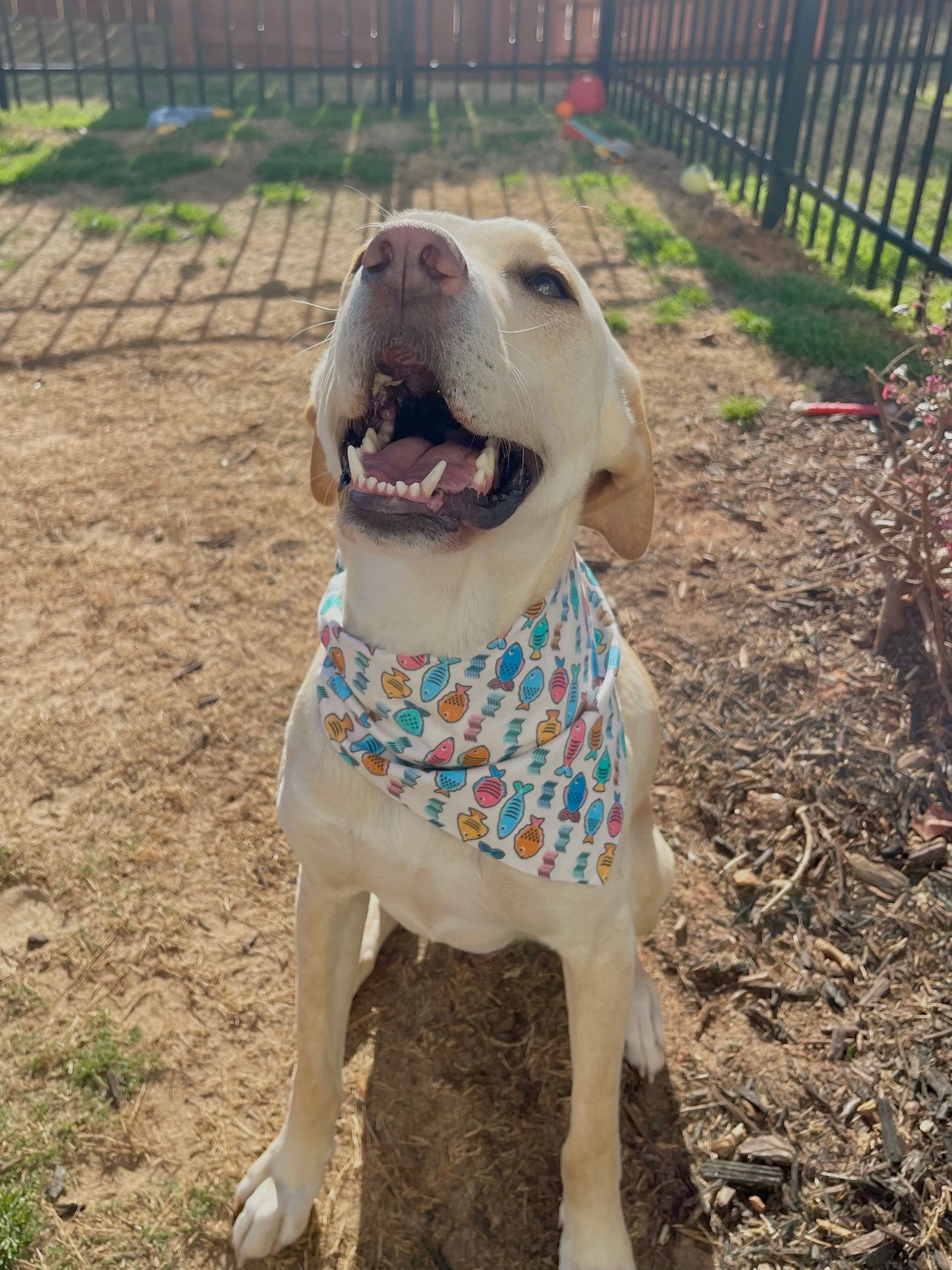Gone Fishin' Bandana