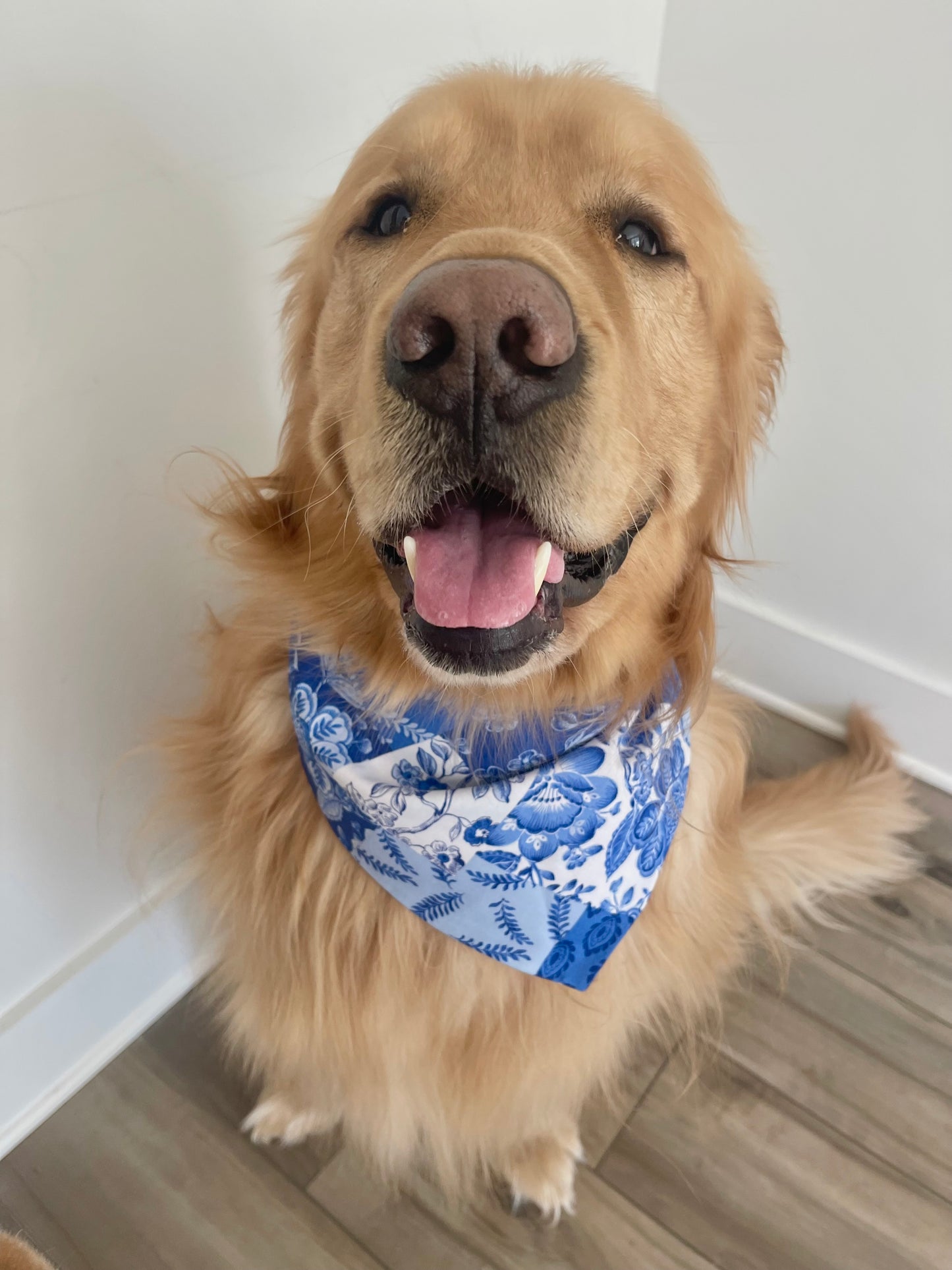 Hamptons Bandana