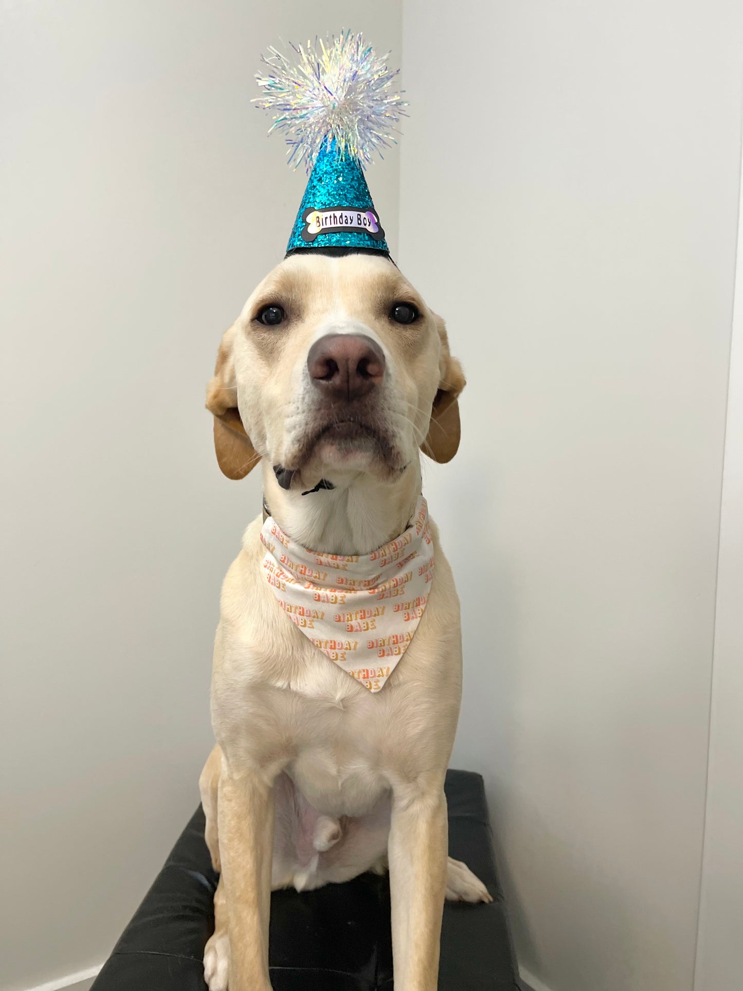 Birthday Babe Bandana