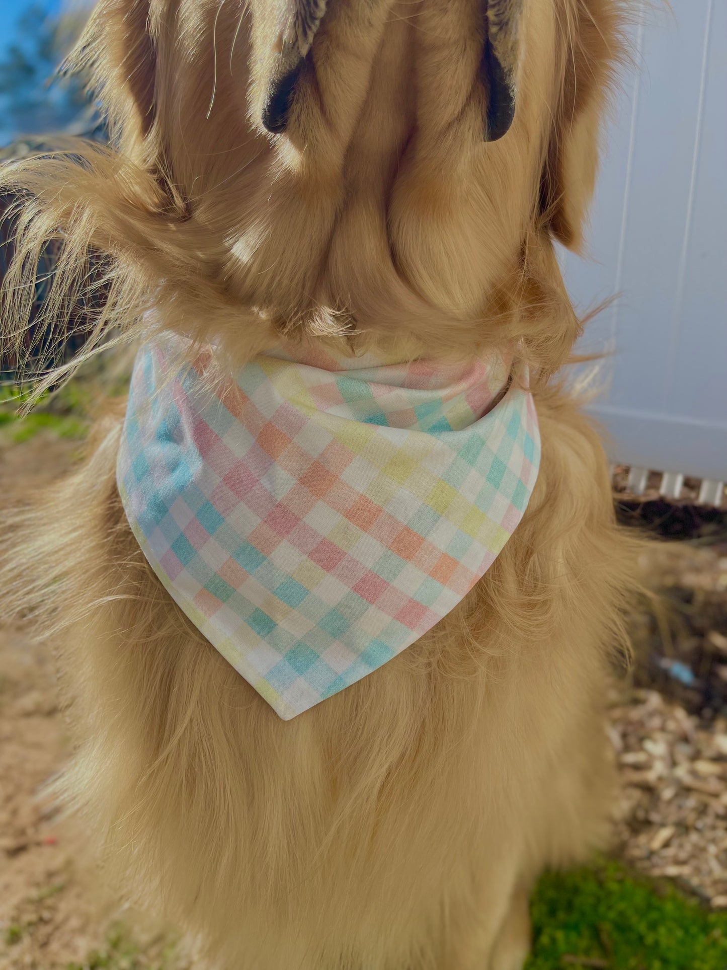 Highland Cowgirl Bandana