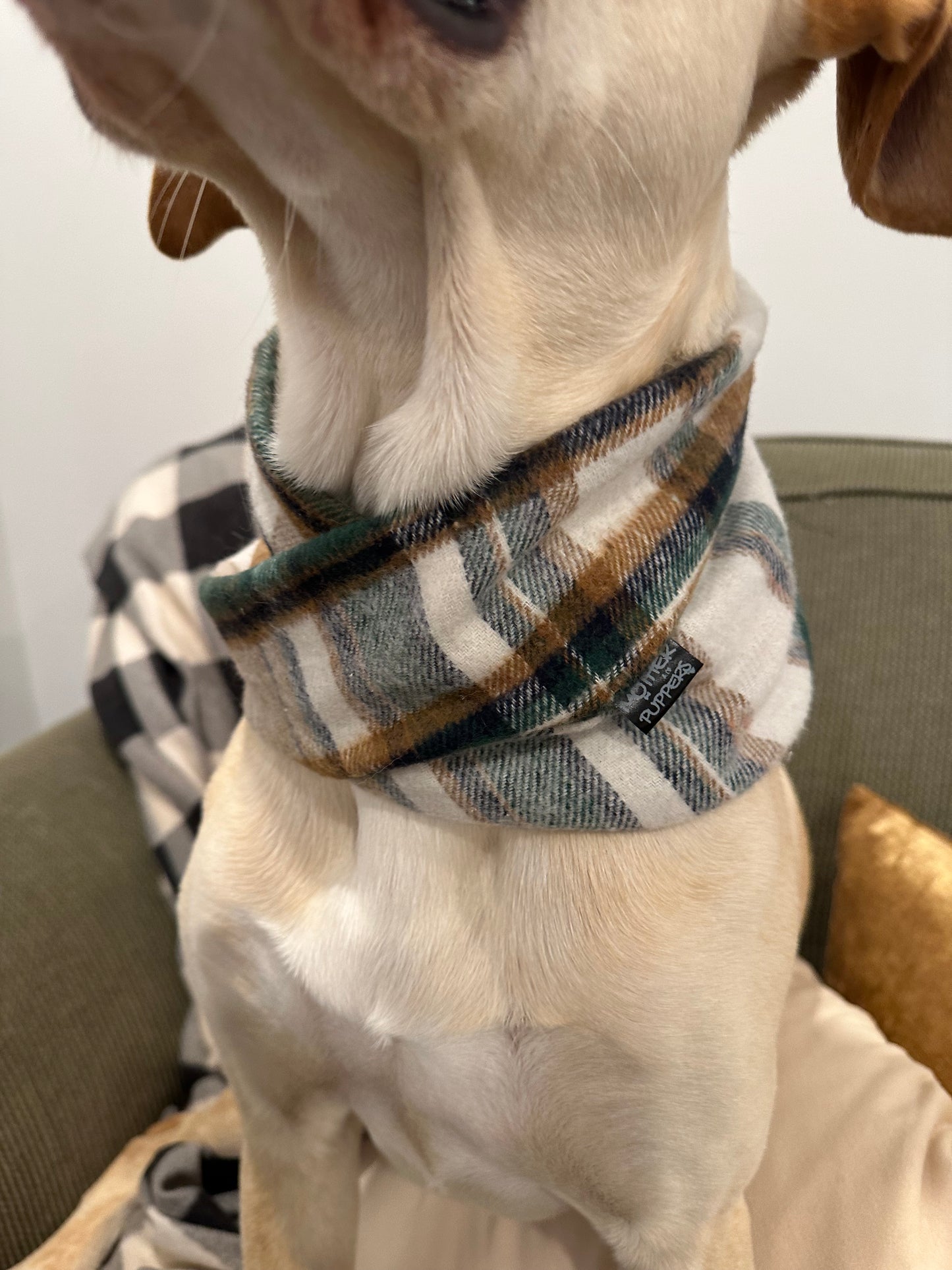 Gilmore Plaid Scarf