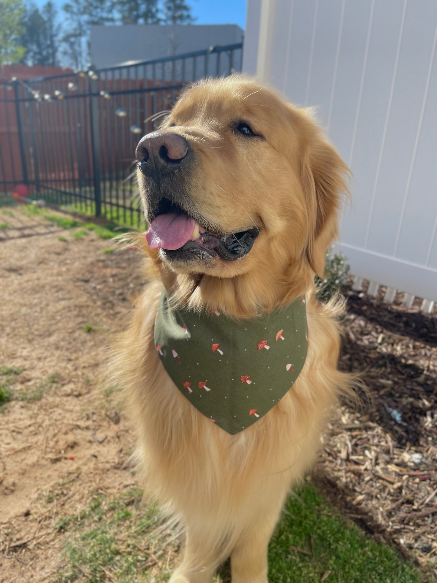 Cottage Bandana