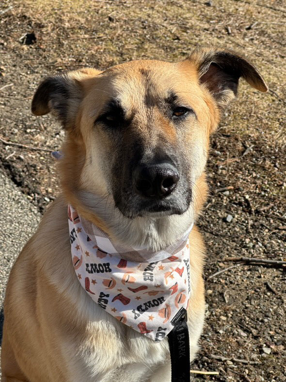 Howdy Bandana