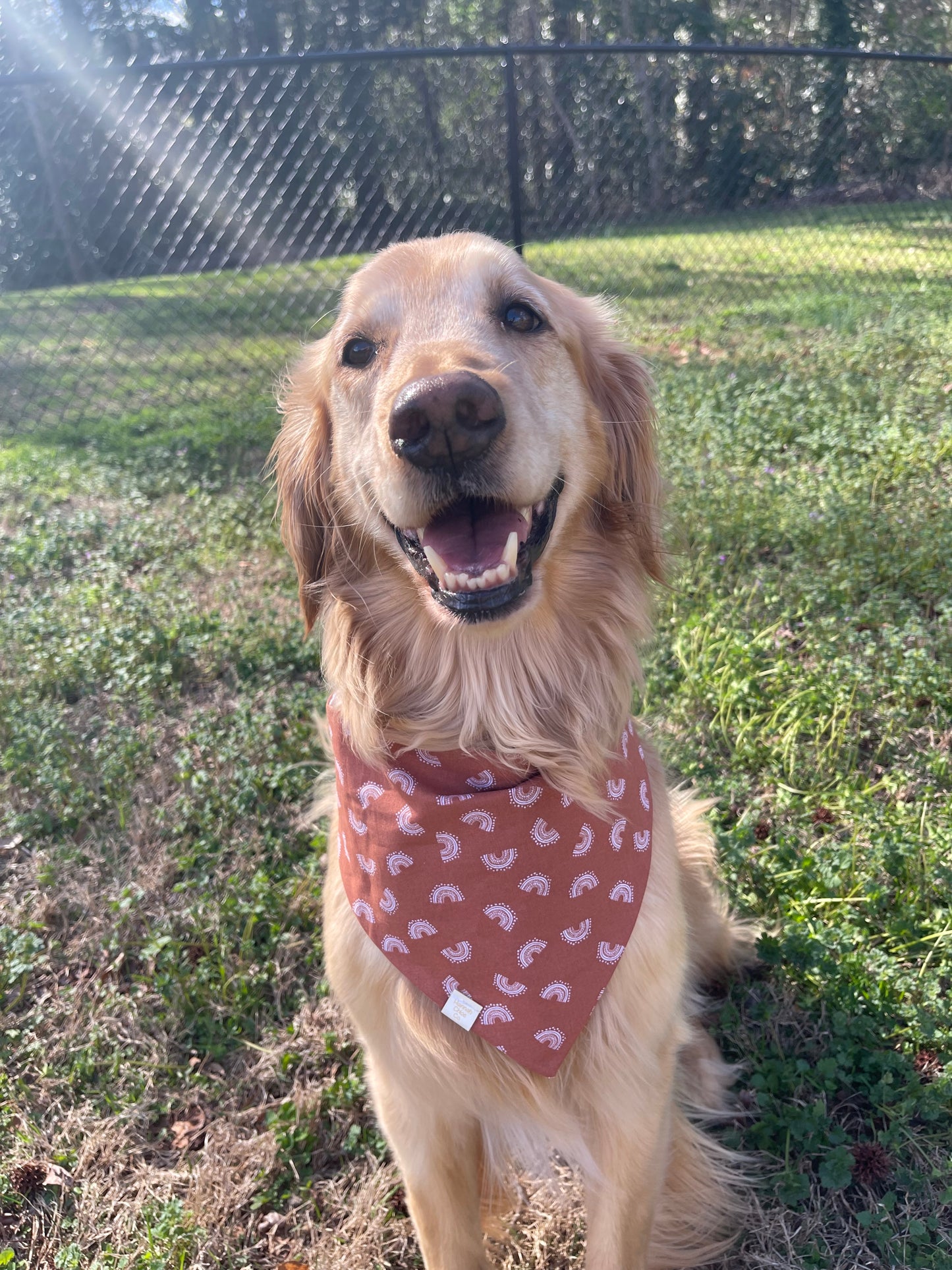 Boho Koalas Bandana