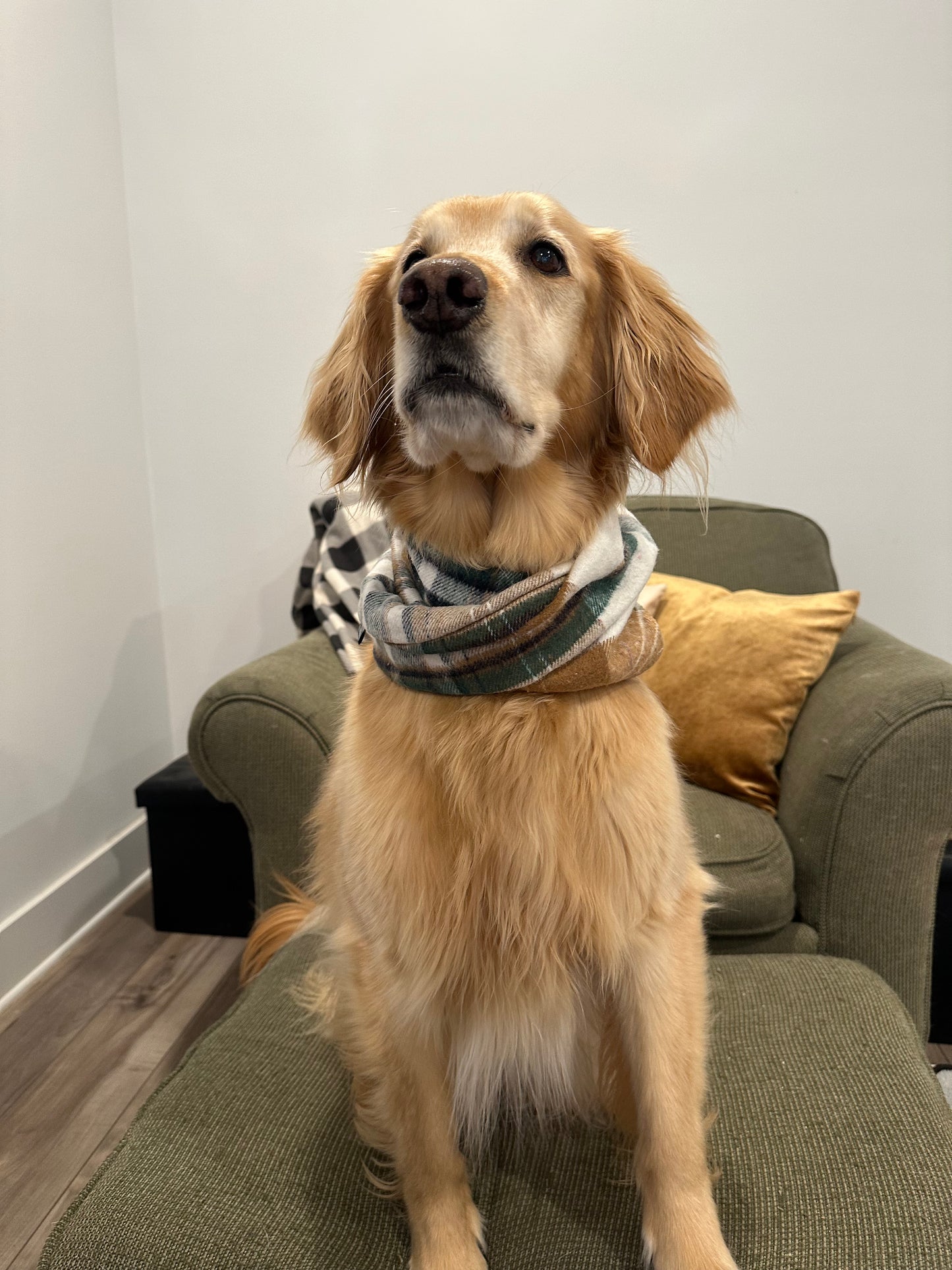 Gilmore Plaid Scarf