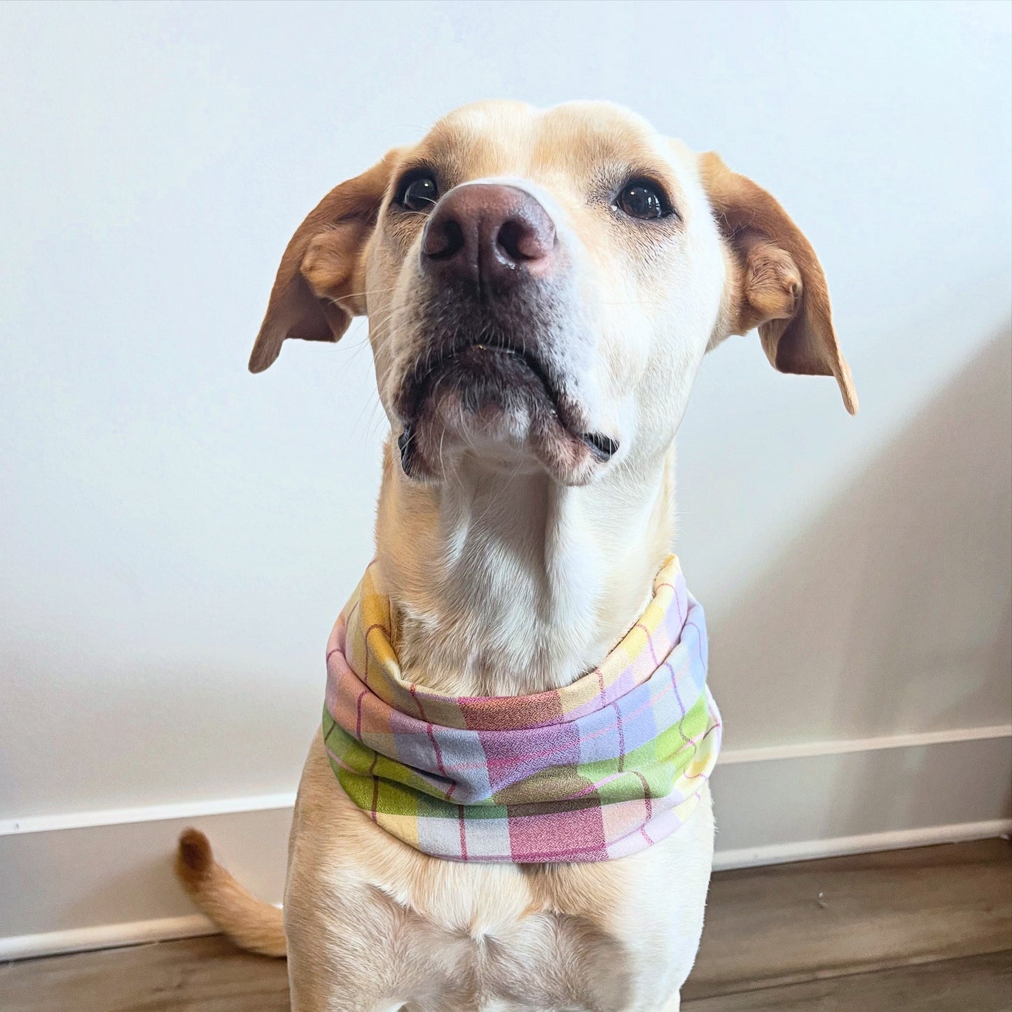 Summery Plaid Scarf