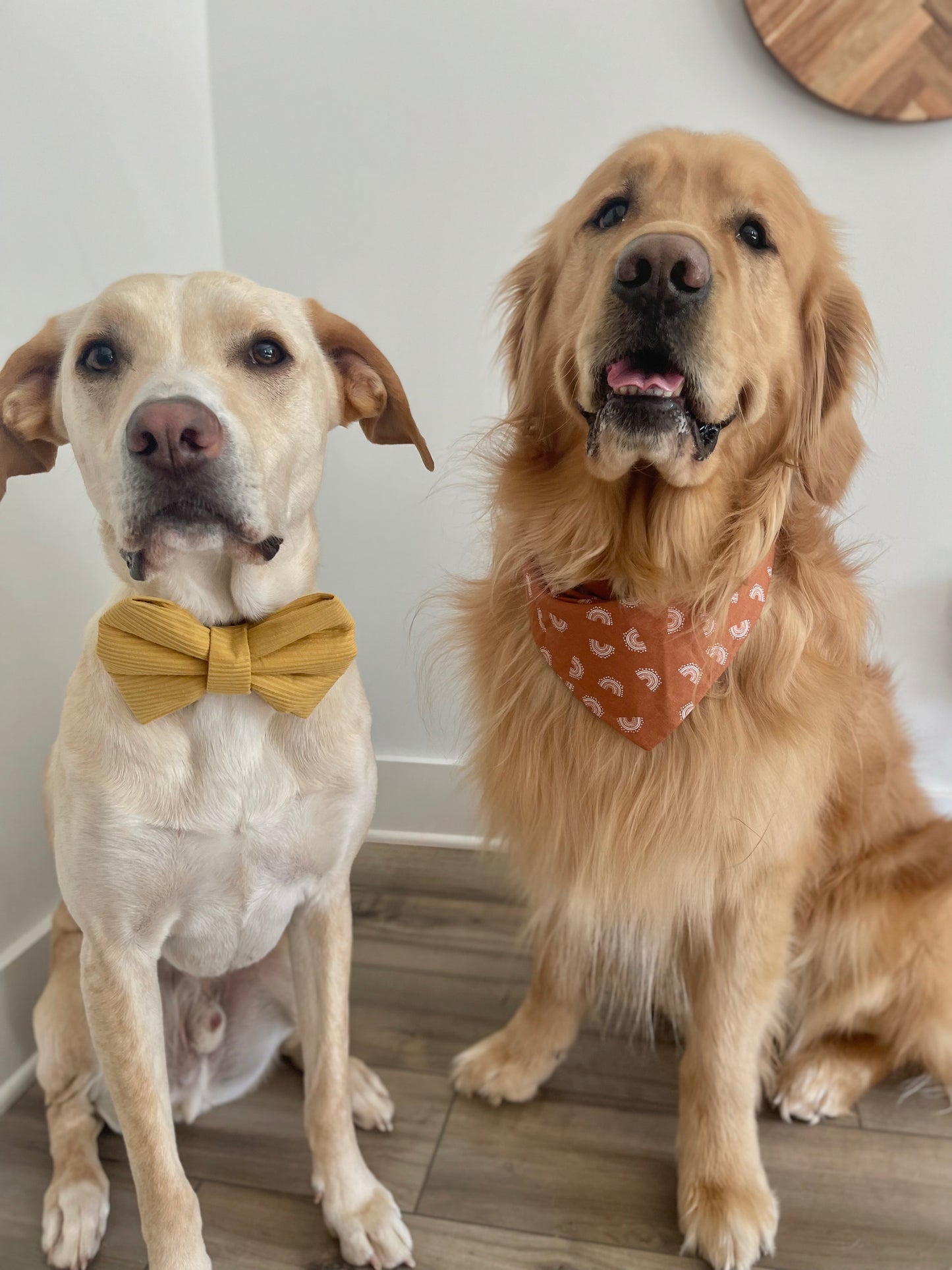 Honey Pie Bow