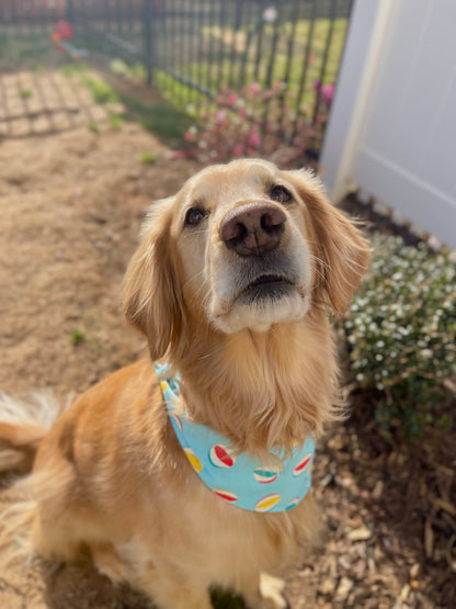 Beach Life Bandana