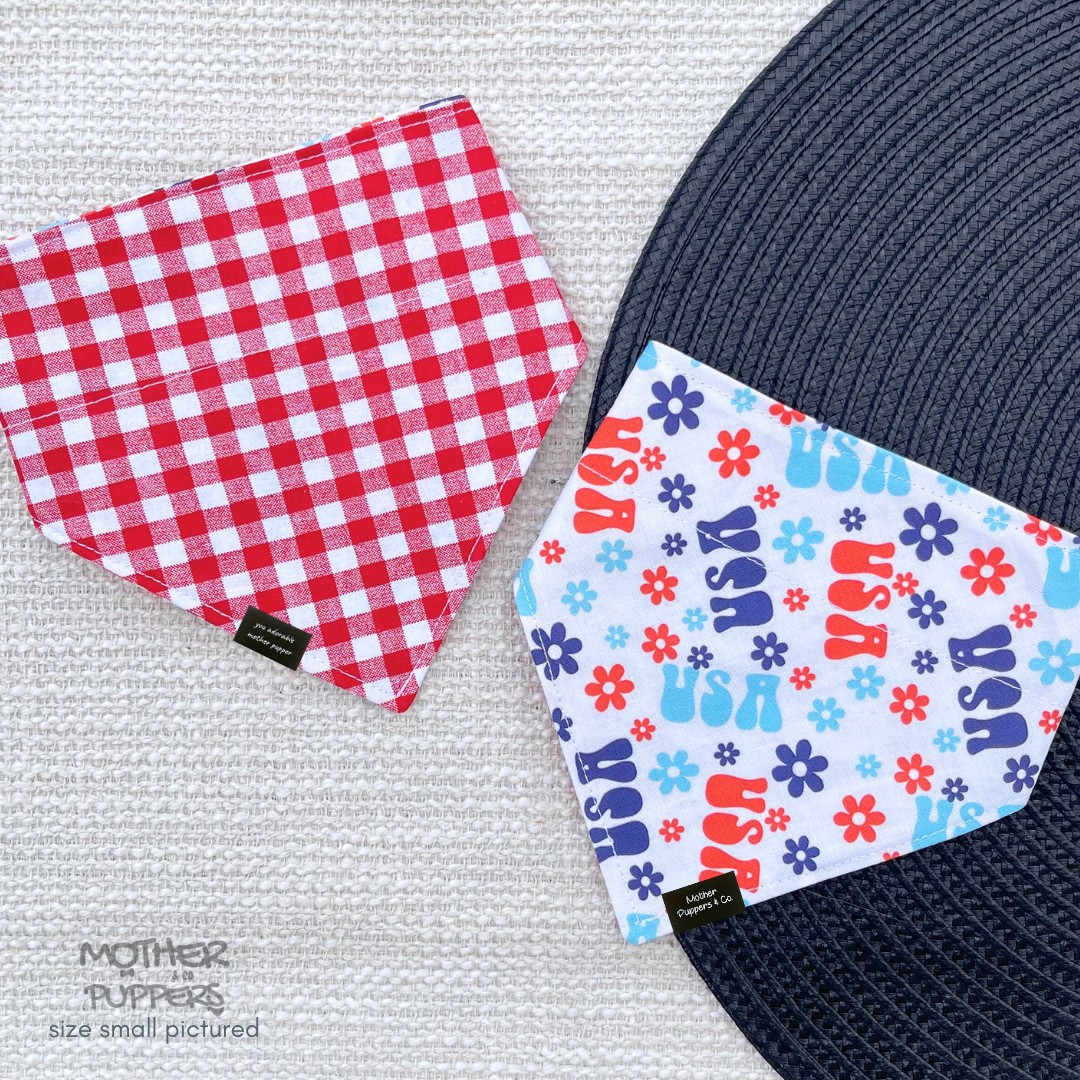 American Picnic Over the Collar Bandana