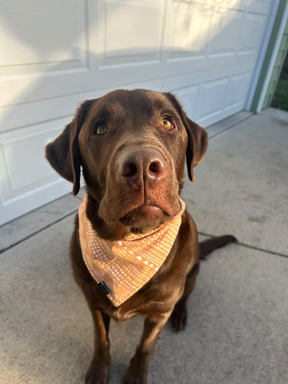 Brewery Buddy Bandana