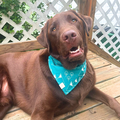 Adventurous Brews Bandana