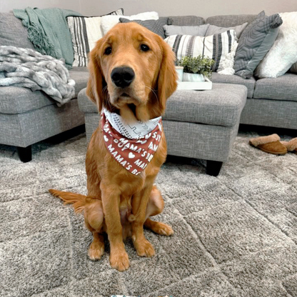 Mama's Boy Bandana