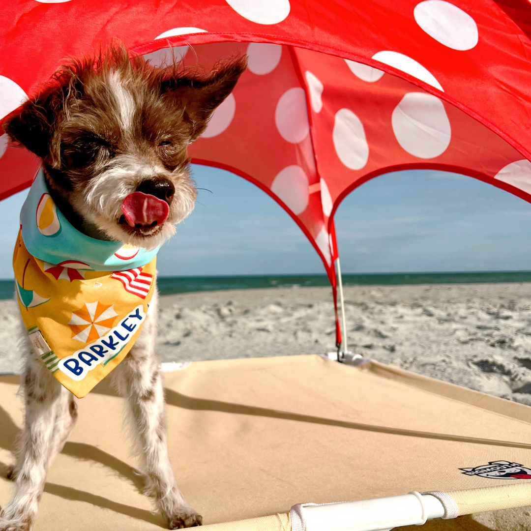 Beach Life Bandana