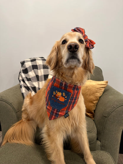 Cozy Season Pocket Bandana