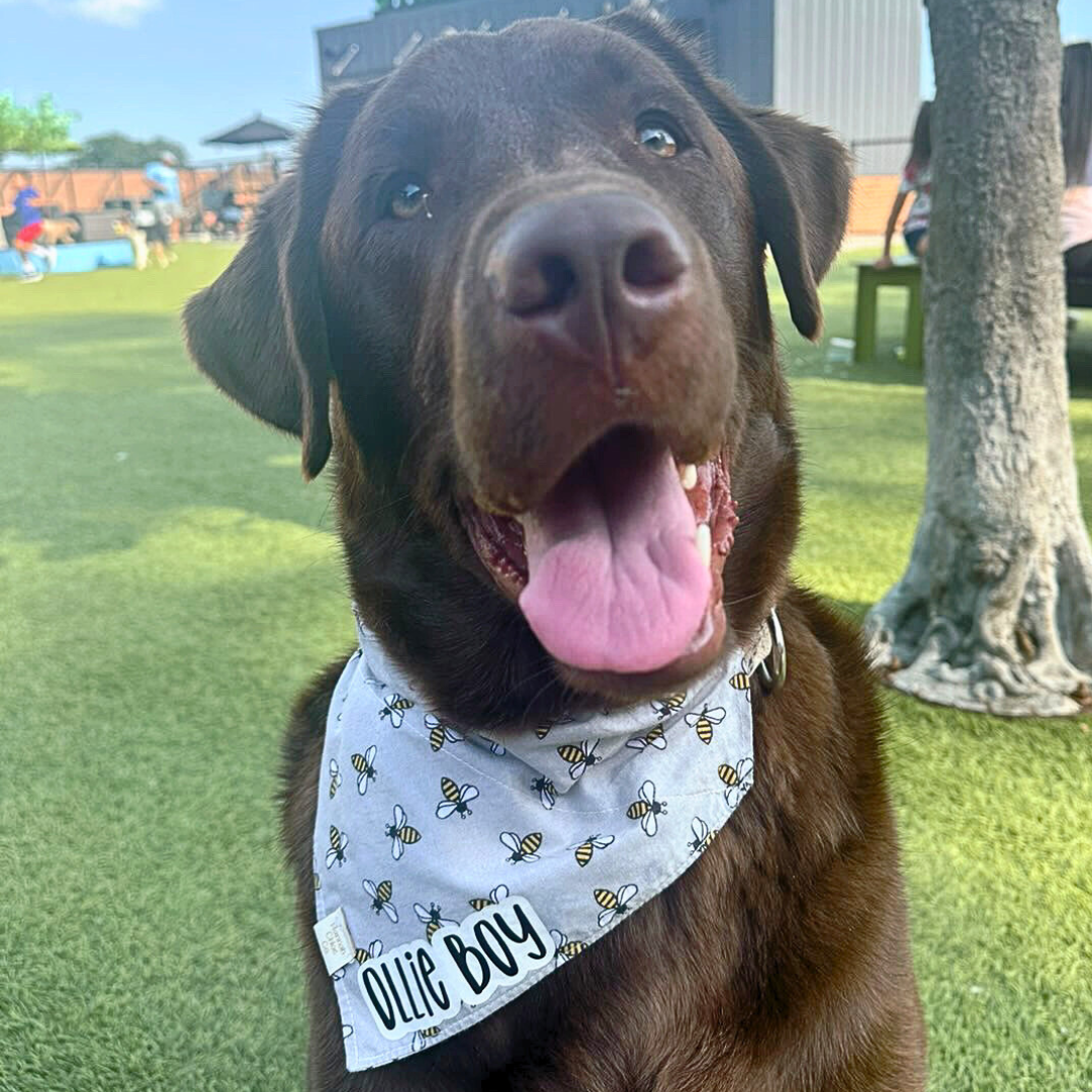 My Sunshine Bandana