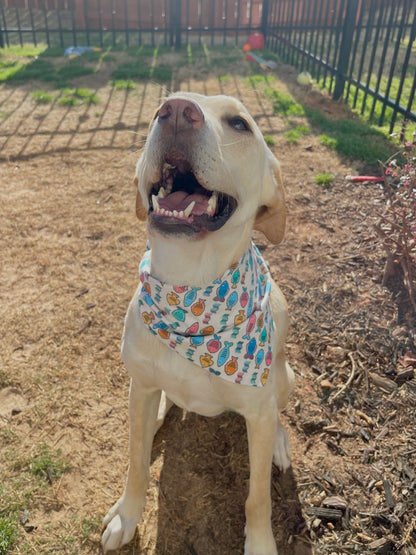 Gone Fishin' Bandana