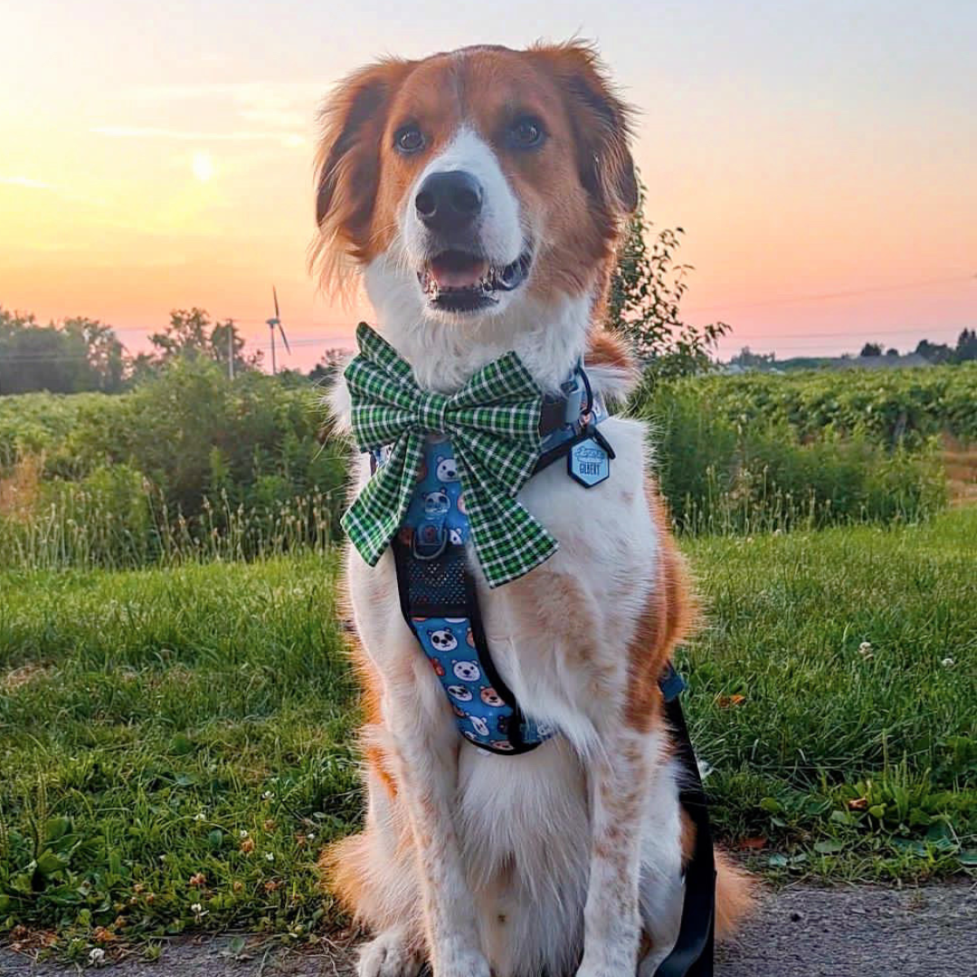 Green Plaid Bow