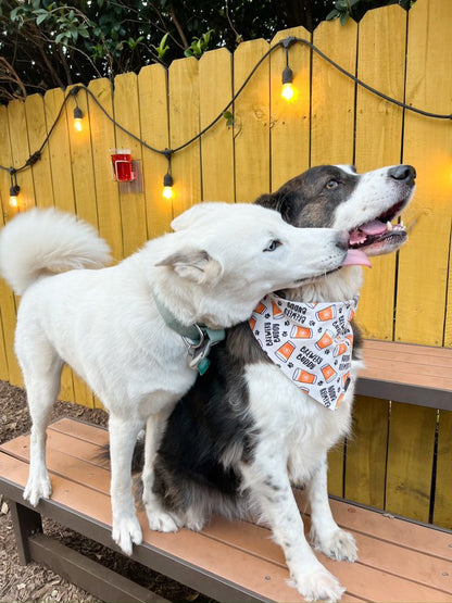 Brewery Buddy Bandana
