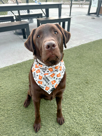 Brewery Buddy Bandana