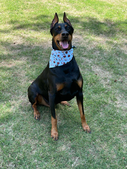 Islander Bandana