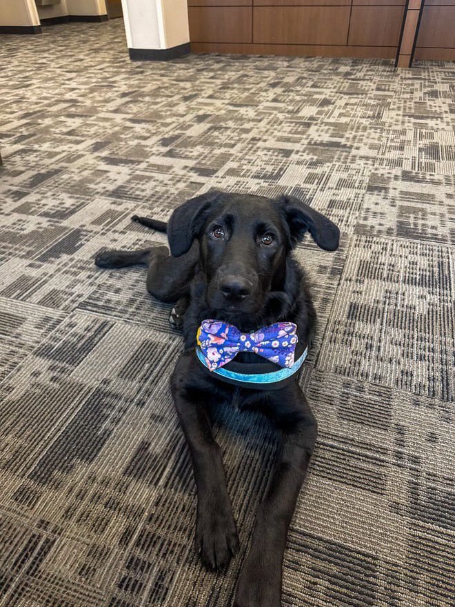 Flower Child Bow