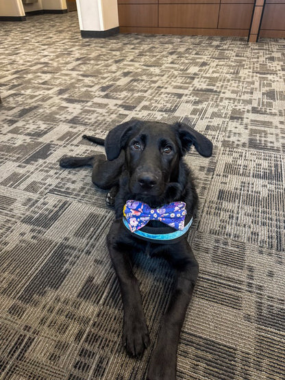 Flower Child Bow