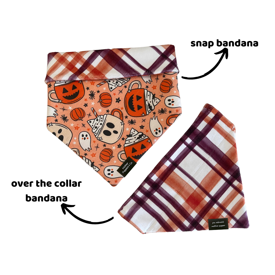 Spiced Haunts Bandana