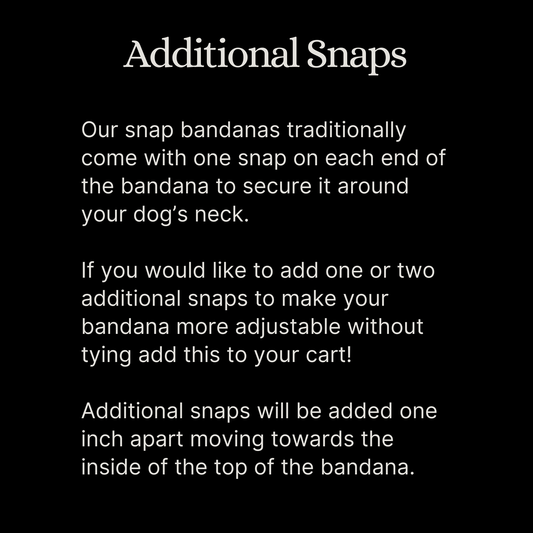 Additional Snaps | ADD ON