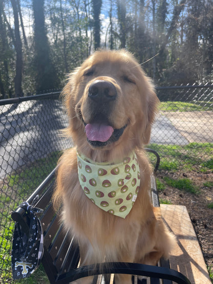 Strawberry Kiwi Bandana