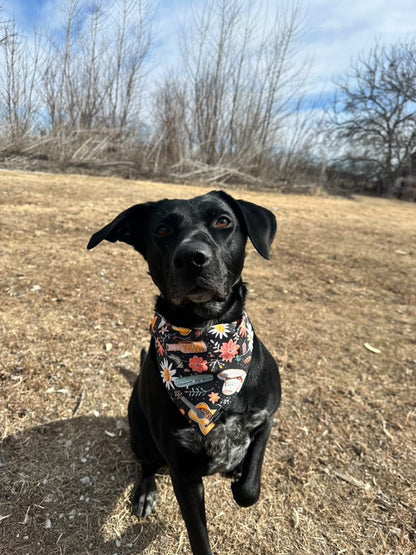 Cowboy Copper Bandana