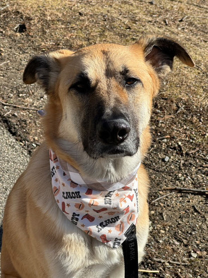 Howdy Bandana
