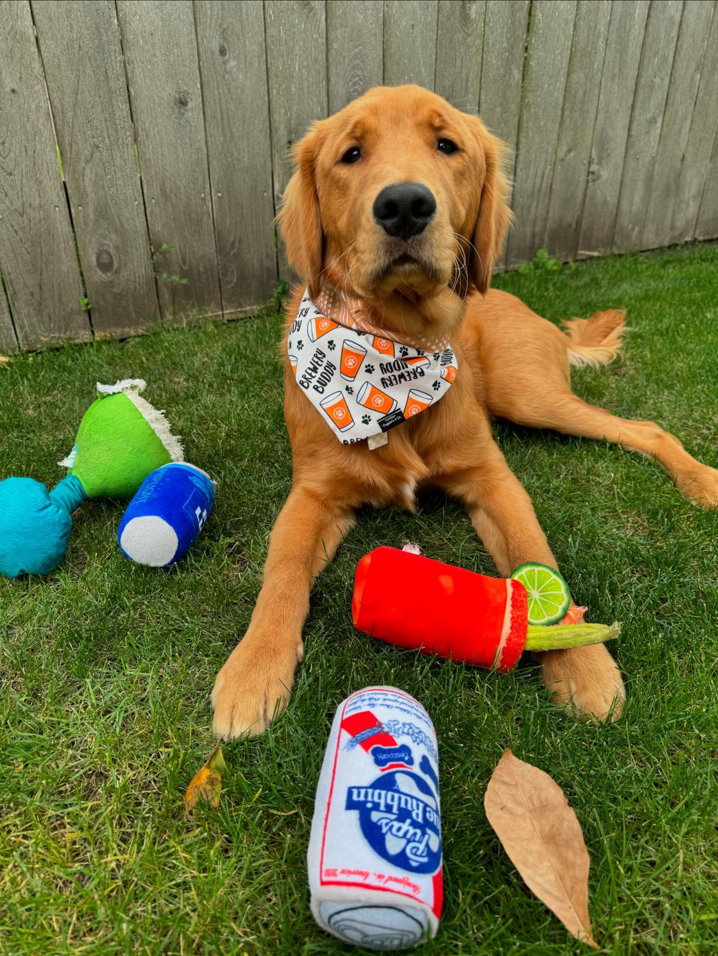 Brewery Buddy Bandana