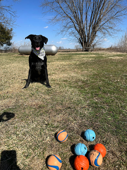 Balls & Paws Bandana