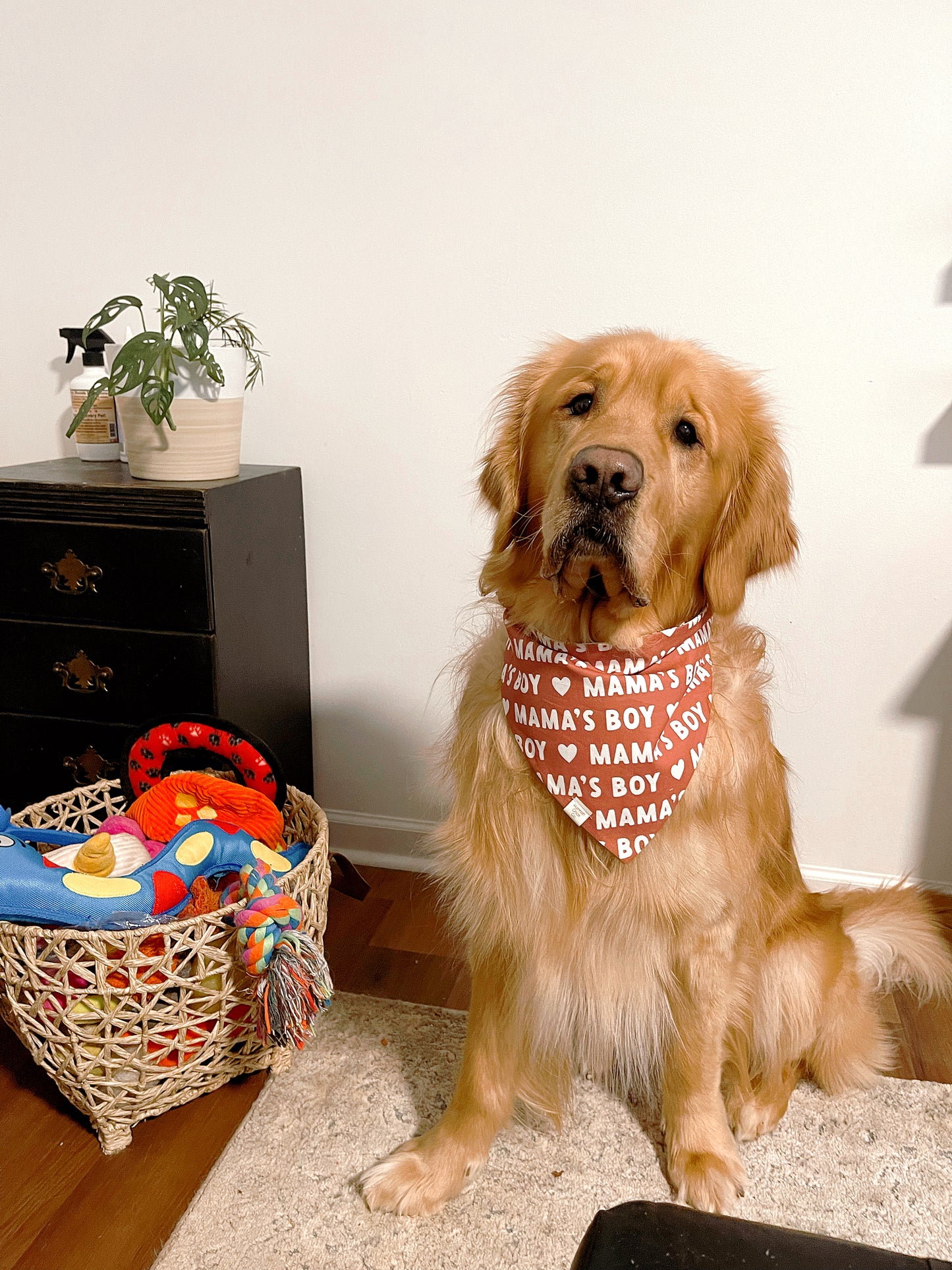 Mama's Boy Bandana