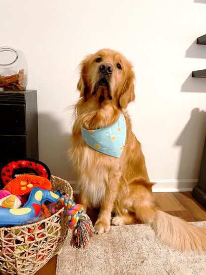 Sunny Days Bandana