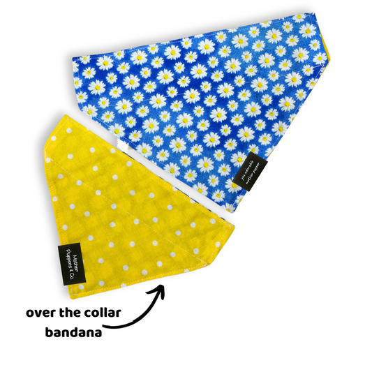 Daisy Over the Collar Bandana