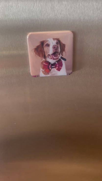 Photo Magnets | 2x2