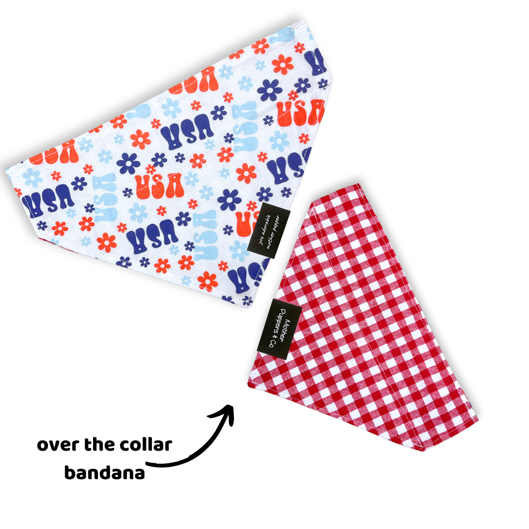 American Picnic Over the Collar Bandana